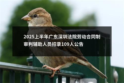 2025上半年广东深圳法院劳动合同制审判辅助人员招录109人公告 图片