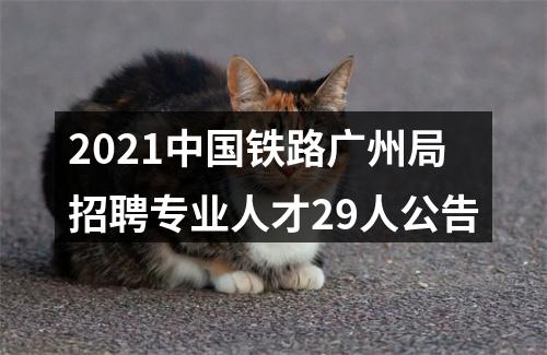 2021中国铁路广州局招聘专业人才29人公告 图片