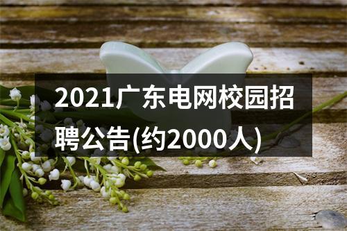 2021广东电网校园招聘公告(约2000人) 图片